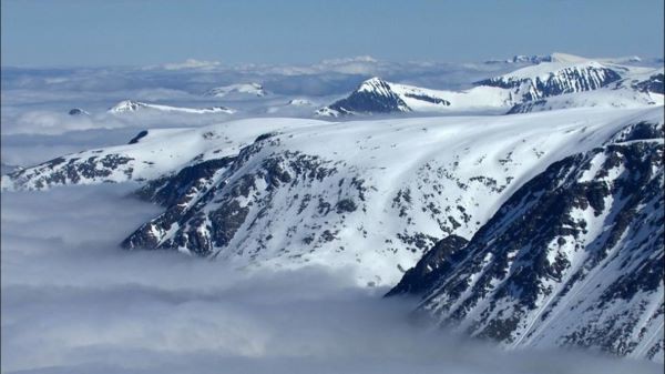 Những điều thú vị về chuột Lemin