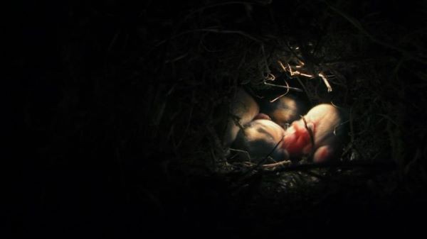 Những điều thú vị về chuột Lemin