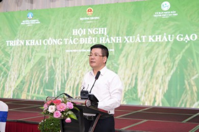 Bộ trưởng Bộ Công Thương: Xuất khẩu gạo phải “đánh chắc thắng chắc”