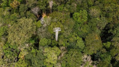 Brazil xây dựng công trình bơm CO2 vào rừng Amazon