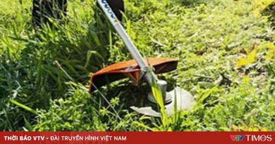Rủi ro tai nạn lao động từ máy cắt cỏ