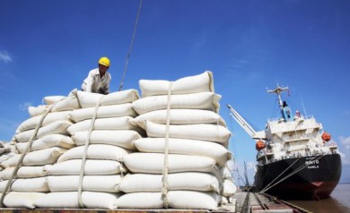 Xuất khẩu gạo tiếp đà tăng tốc năm 2024