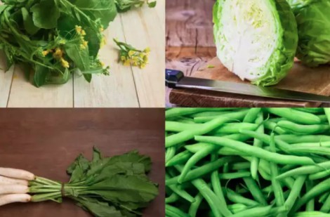 9 loại rau xanh theo mùa giúp tăng cường miễn dịch và trao đổi chất