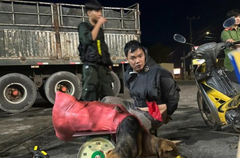 CSGT truy đuổi hơn 6 km bắt kẻ trộm chó ở Bình Phước