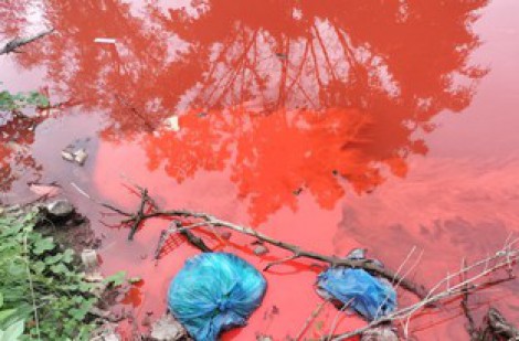 Cà Mau: Nước kênh có màu đỏ lạ do người dân... rửa thùng sơn