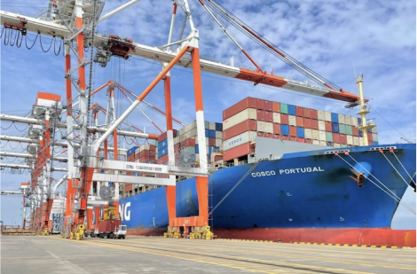 Cục Hàng hải Việt Nam lý giải giá vận chuyển container đường biển ”phi mã”