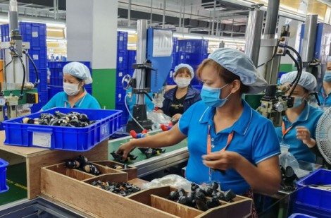 Doanh nghiệp Thái Bình chung tay thúc đẩy phát triển kinh tế