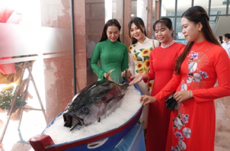 Nhiều đầu bếp nổi tiếng thế giới sẽ trổ tài chế biến cá ngừ đại dương ở Bình Định