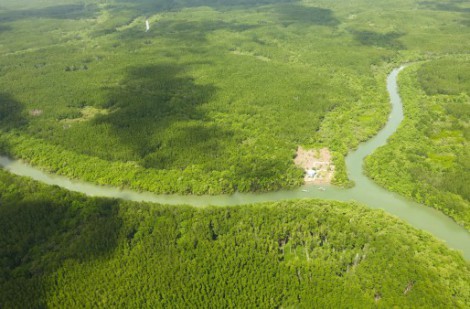 ”Siêu” cảng Cần Giờ cần chuyển 93 ha đất rừng phòng hộ