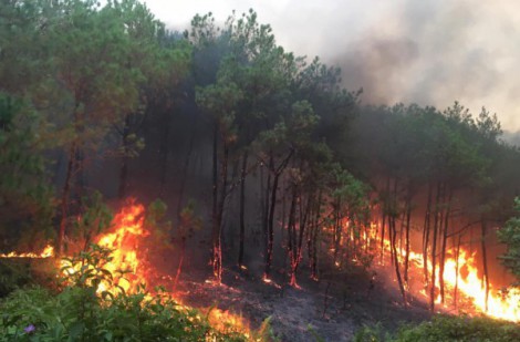 Thanh Hóa: UBND tỉnh ra công điện khẩn về phòng cháy, chữa cháy rừng