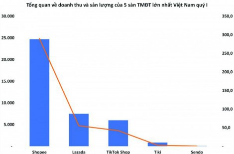 Thương mại điện tử Việt Nam sẽ tiếp đà tăng trưởng?