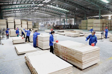 Tín hiệu tích cực từ thị trường xuất khẩu gỗ