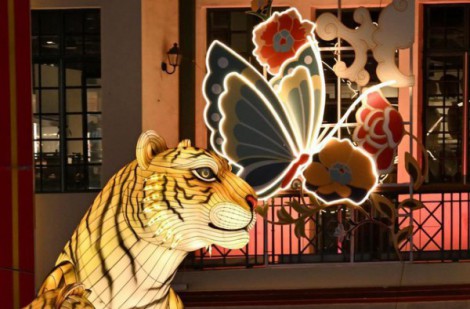 Bật cười với tạo hình linh vật năm Nhâm Dần trên thế giới: Hổ cũng có hổ “this” hổ “that”