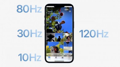 Tất cả phiên bản iPhone 14 đều sở hữu màn hình ProMotion 120 Hz?