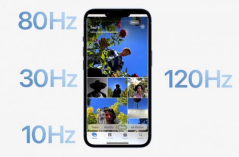 Tất cả phiên bản iPhone 14 đều sở hữu màn hình ProMotion 120 Hz?