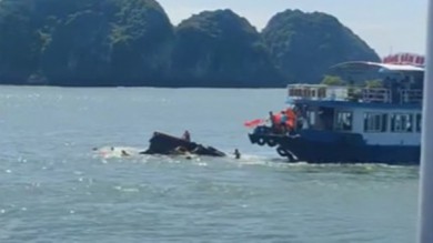 Hai tàu va chạm trên vịnh Lan Hạ: Nữ du khách tử vong bị kẹt trong tàu