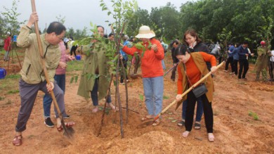 Quảng Ngãi: Nhiều địa phương đồng loạt tổ chức 'Tết trồng cây'