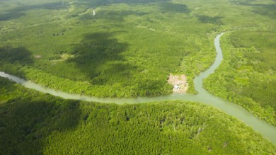 ”Siêu” cảng Cần Giờ cần chuyển 93 ha đất rừng phòng hộ