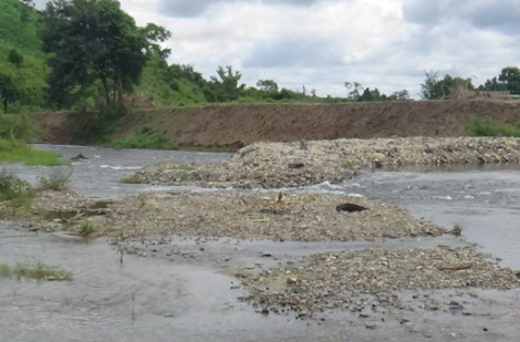 Đắk Lắk: Xử lý việc ngăn suối, đào ao nuôi cá tầm không phép