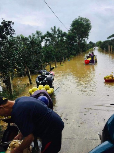 Hà Tĩnh: Mưa lớn nhiều nơi bị ngập lụt, sạt lở đất cục bộ