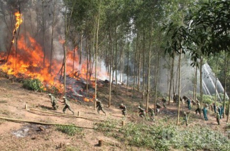 Bắc Giang cảnh báo nguy cơ cháy rừng cao