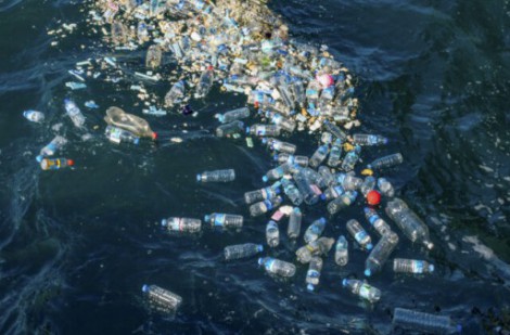 Cảnh báo lượng nhựa sắp nhiều hơn số cá trong các đại dương