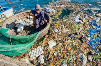 Giảm thiểu rác thải nhựa đại dương: Từ chính sách đến thực tiễn