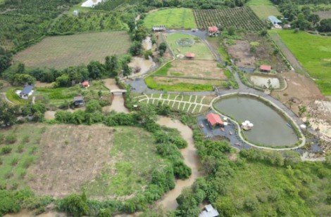 Huyện Cư Jut ( Đắk Nông): Xử lý việc tự ý chuyển đổi mục đích sử dụng đất
