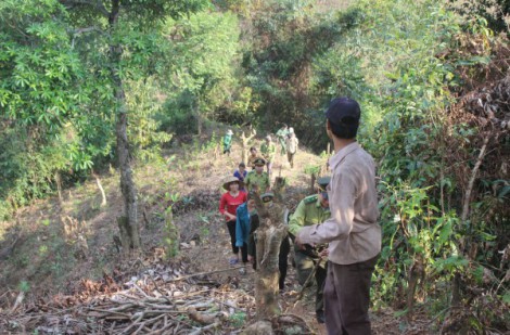 Lai Châu tăng cường công tác quản lý bảo vệ rừng và phòng cháy, chữa cháy rừng