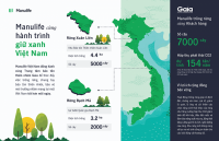 Manulife Việt Nam cùng khách hàng trồng rừng vì một Việt Nam xanh