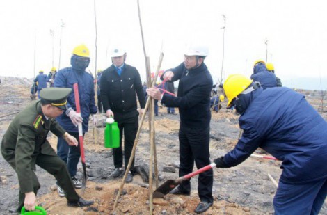 Quảng Ninh: Phát động Tết trồng cây đầu xuân 2023