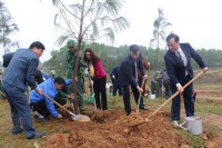 Quảng Trị phát động “Tết trồng cây đời đời nhớ ơn Bác Hồ” Xuân Quý Mão 2023