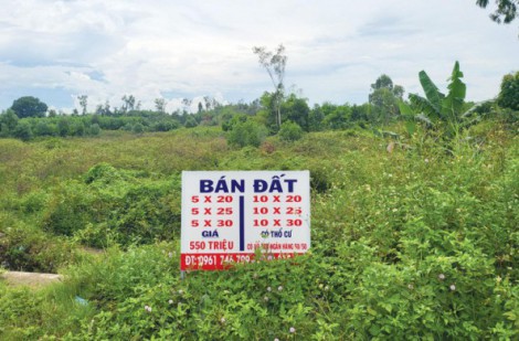 Tràn lan rao bán đất ven biển Quảng Ngãi