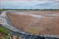Đồng bằng sông Cửu Long: Nhà nhà nuôi tôm- nỗi lo về suy thoái môi trường