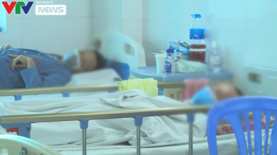 Bộ Y tế khuyến cáo phòng, chống bệnh sốt xuất huyết