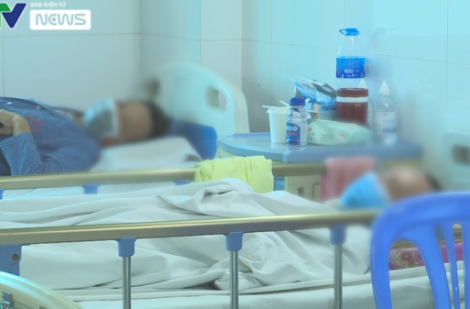 Bộ Y tế khuyến cáo phòng, chống bệnh sốt xuất huyết