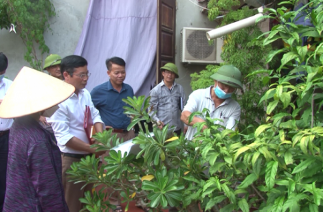 Hà Nội: Tập trung dập dịch sốt xuất huyết tại huyện Phú Xuyên