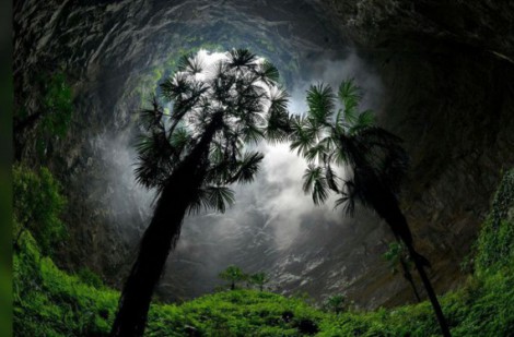 Bất ngờ, phát hiện “khu rừng cổ tích” trong chiếc hố sụt khổng lồ
