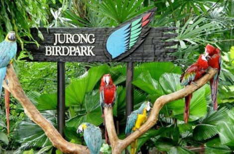 Vườn chim Jurong của Singapore đóng cửa vào đầu năm 2023