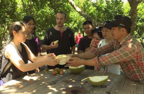 Đồng Nai đẩy mạnh phát triển du lịch trải nghiệm vườn cây ăn trái