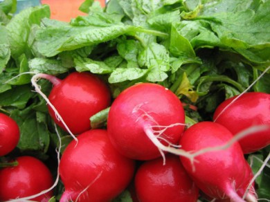 Những lợi ích tuyệt vời của củ cải đỏ đối với sức khỏe
