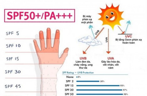 Top 10 kem chống nắng SPF50 bảo vệ da được giới chuyên gia khuyên dùng
