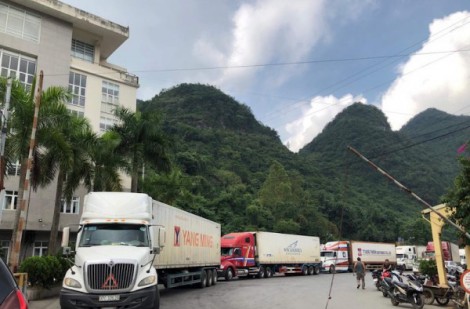 Ùn tắc nông sản biên giới: Trung Quốc thông quan xuyên Tết với hàng container lạnh