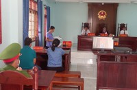 Xét xử trực tuyến tại Bình Định: Chị lừa đảo chiếm đoạt tài sản của em ruột, lãnh án tù