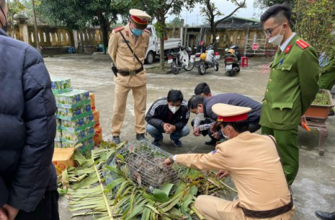 Thừa Thiên - Huế: Bắt giữ xe ô tô chở động vật rừng cùng nhiều hàng nhập lậu