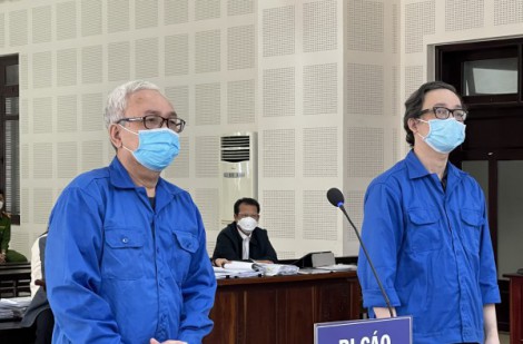 Đà Nẵng: Con rủ cha mua đất của công ty rồi chiếm đoạt, cả hai vào tù