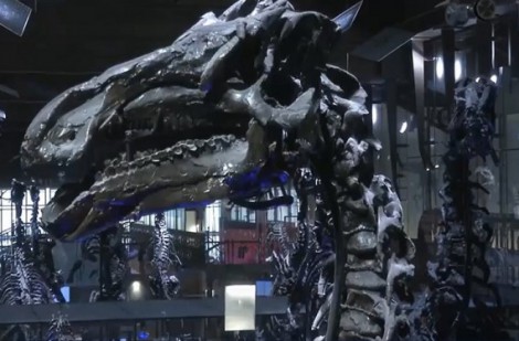 Chiêm ngưỡng bảo tàng khủng long lớn nhất thế giới
