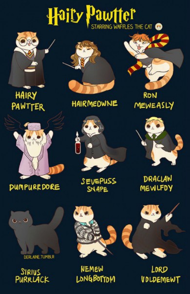 Khi các nhân vật nổi tiếng biến hóa thành mèo ú: Harry Potter hay công chúa Disney đều dễ thương miễn bàn