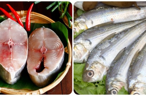 4 loại cá biển ngon nhất, giàu dinh dưỡng bạn nên ăn mỗi tuần
