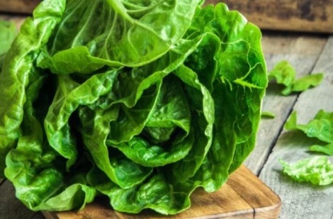 6 loại rau lá xanh bổ dưỡng này không thể thiếu trong bữa ăn hằng ngày